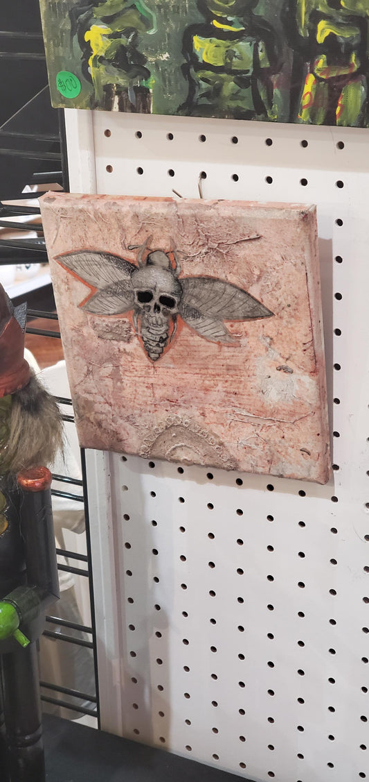 Moth Solo