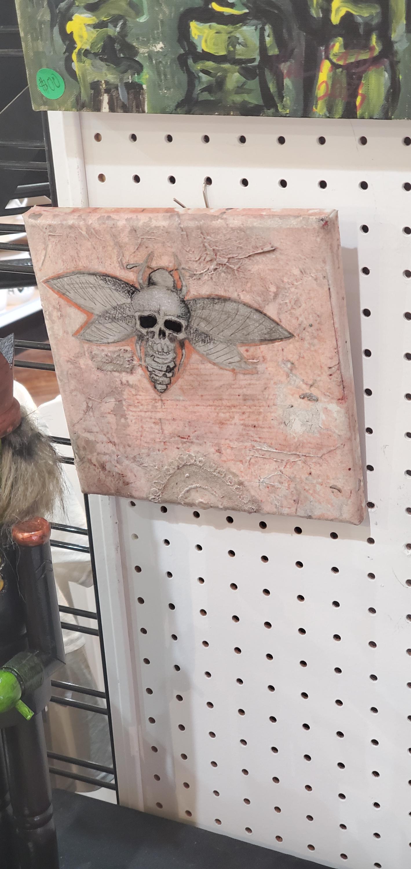 Moth Solo