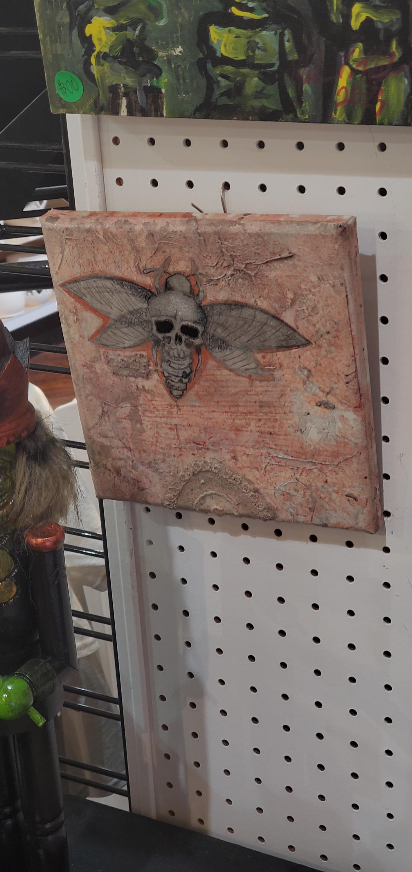 Moth Solo