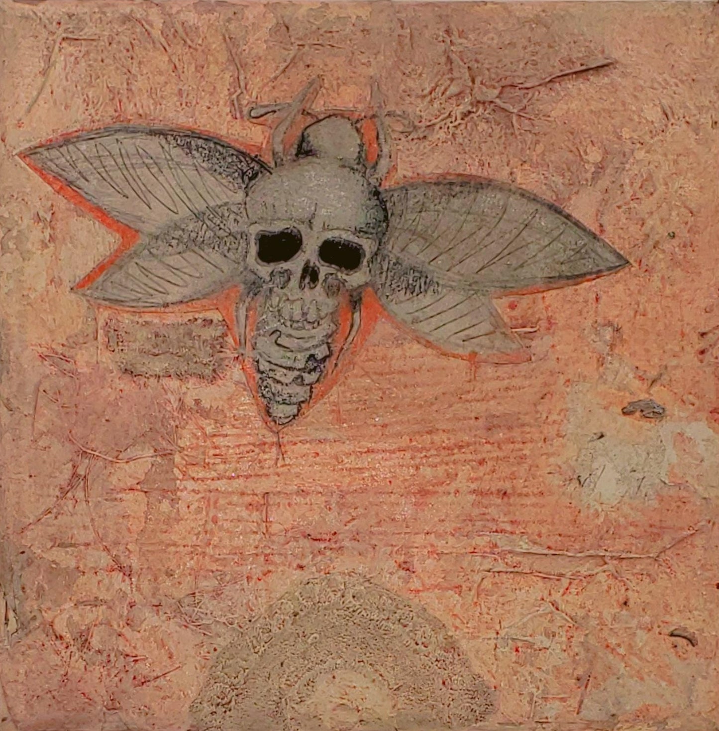 Moth Solo
